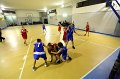 Basket 443064